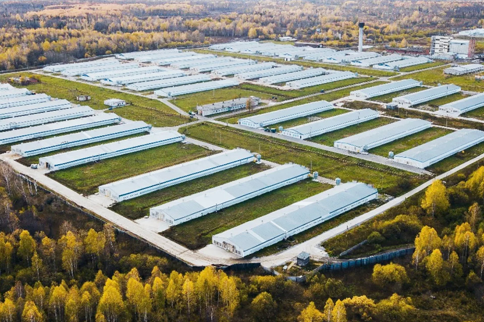 AGROTARGET, JSC