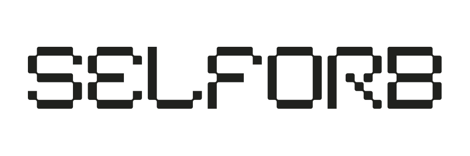 SELF SOFT PRODUCTION, LLC